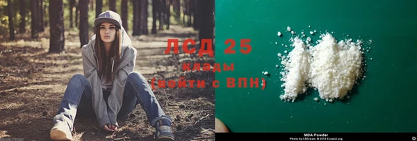 стаф Абаза