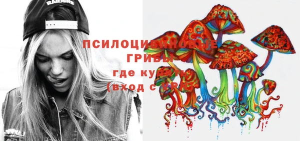 стаф Абаза